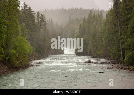 Glacier National Park, Montana, USA. Regnerisch und bewölkt Tag über den Flathead River. Stockfoto