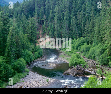 USA, Oregon, Mount Hood National Forest. Obere erstreckt sich der Clackamas River als vom Riverside National Recreation Trail gesehen. Die Clackamas River ist ein staatlich benannten Wild und Scenic River. Stockfoto