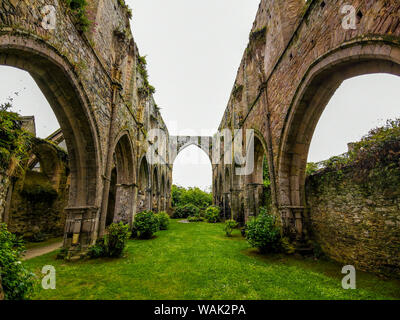 Paimpol, die Abtei von Beauport, Cotes-d'Armor, Bretagne, Frankreich Stockfoto