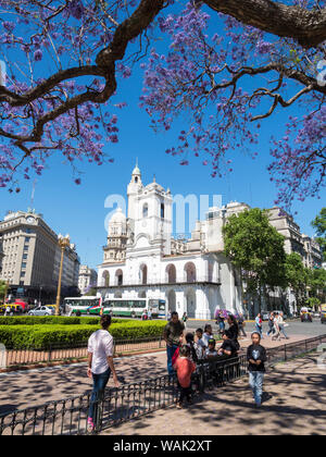 Plaza de Mayo und das Museo Historico del Cabildo y La Revolucion de Mayo. Südamerika, Buenos Aires, Argentinien. (Redaktionelle nur verwenden) Stockfoto