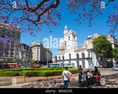 Plaza de Mayo und das Museo Historico del Cabildo y La Revolucion de Mayo. Südamerika, Buenos Aires, Argentinien. (Redaktionelle nur verwenden) Stockfoto