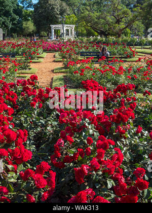 Bosques de Palermo in Palermo, der Rosengarten (El Rosedal de Palermo). Buenos Aires, Argentinien. Stockfoto