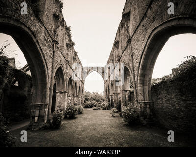 Paimpol, die Abtei von Beauport, Cotes-d'Armor, Bretagne, Frankreich Stockfoto