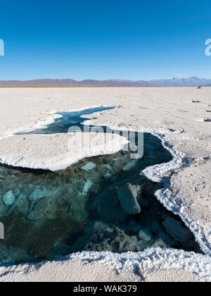 Ojos del Salar, Grundwasser Teiche und Oberfläche des Salar. Landschaft auf dem Salzsee Salar Salinas Grandes im Altiplano, Argentinien. (Redaktionelle nur verwenden) Stockfoto