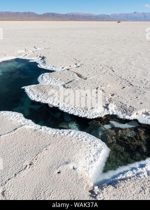 Ojos del Salar, Grundwasser Teiche und Oberfläche des Salar. Landschaft auf dem Salzsee Salar Salinas Grandes im Altiplano, Argentinien. (Redaktionelle nur verwenden) Stockfoto