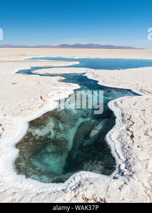 Ojos del Salar, Grundwasser Teiche und Oberfläche des Salar. Landschaft auf dem Salzsee Salar Salinas Grandes im Altiplano, Argentinien. (Redaktionelle nur verwenden) Stockfoto