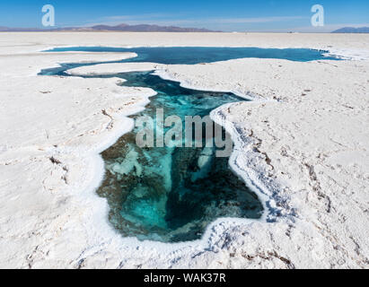 Ojos del Salar, Grundwasser Teiche und Oberfläche des Salar. Landschaft auf dem Salzsee Salar Salinas Grandes im Altiplano, Argentinien. (Redaktionelle nur verwenden) Stockfoto