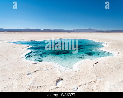 Ojos del Salar, Grundwasser Teiche und Oberfläche des Salar. Landschaft auf dem Salzsee Salar Salinas Grandes im Altiplano, Argentinien. (Redaktionelle nur verwenden) Stockfoto