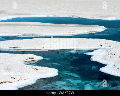 Ojos del Salar, Grundwasser Teiche und Oberfläche des Salar. Landschaft auf dem Salzsee Salar Salinas Grandes im Altiplano, Argentinien. (Redaktionelle nur verwenden) Stockfoto