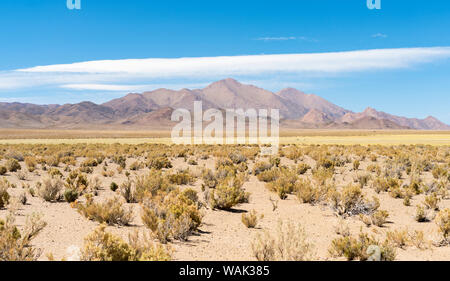 Landschaft in der Nähe der Salzseen Salinas Grandes im Altiplano, Argentinien. Stockfoto