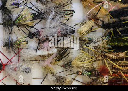 Close-up Fly fishing Lures. Stockfoto