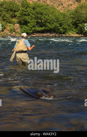 Fisherman Fliegen, untere Deschutes River, Central Oregon, USA (MR) Stockfoto