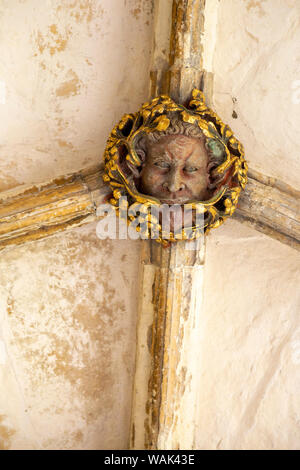 Dach boss Gesicht der Grünen oder wilde Mann im Kreuzgang, Kathedrale von Norwich, Norfolk, England, Großbritannien Stockfoto