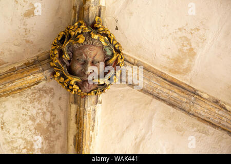 Dach boss Gesicht der Grünen oder wilde Mann im Kreuzgang, Kathedrale von Norwich, Norfolk, England, Großbritannien Stockfoto