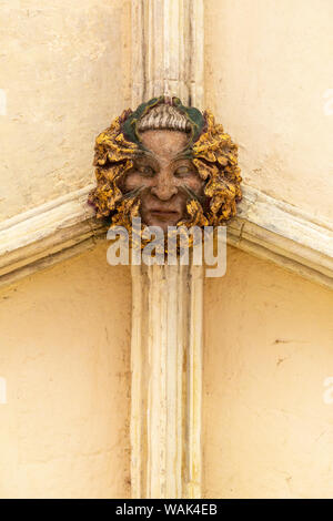 Dach boss Gesicht der Grünen oder wilde Mann im Kreuzgang, Kathedrale von Norwich, Norfolk, England, Großbritannien Stockfoto