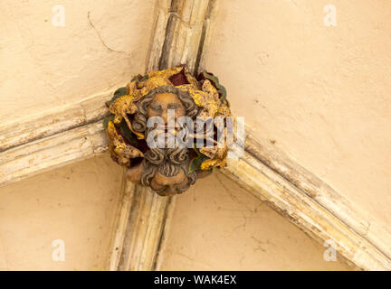 Dach boss Gesicht der Grünen oder wilde Mann im Kreuzgang, Kathedrale von Norwich, Norfolk, England, Großbritannien Stockfoto