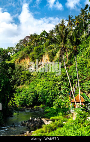 Die petanu River flussabwärts Tegenungan Wasserfall in Bali, Indonesien Stockfoto