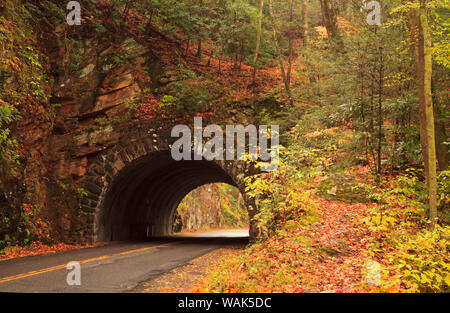 USA, Tennesse. Tunnel entlang der Straße auf Cades Cove im Herbst. Stockfoto