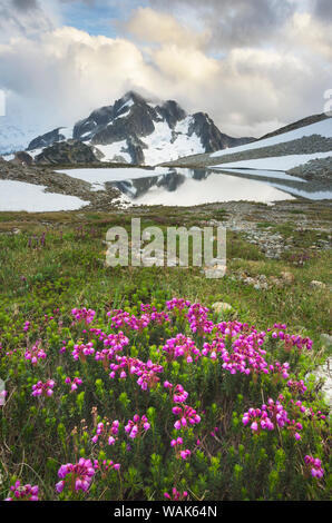 Whatcom Gipfel in Wolken gehüllt in der Nähe der oberen Tapto Lake, North Cascades National Park, Washington State Stockfoto