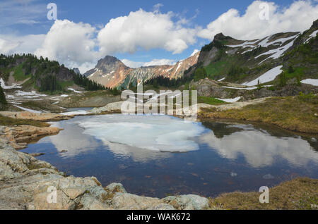 Teilweise tarn aufgetaut, gelbe Aster Butte Becken. Amerikanische Grenze Peak ist in der Ferne. Mount Baker Wilderness, North Cascades, Washington State Stockfoto