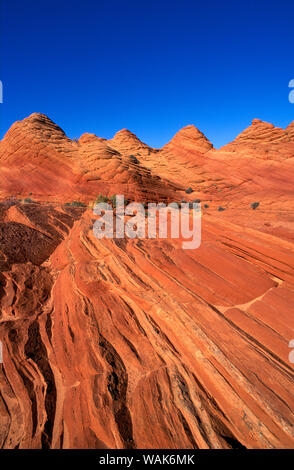Nachmittag Licht auf Marmor Sandstein Felsformationen in der Nähe von Buckskin Gulch, Paria Canyon-Vermilion Cliffs Wilderness, Arizona, USA. Stockfoto