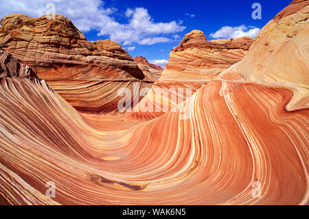 Die Wave, Coyote Buttes, Paria Canyon-Vermilion Cliffs Wilderness, Arizona, USA. Stockfoto