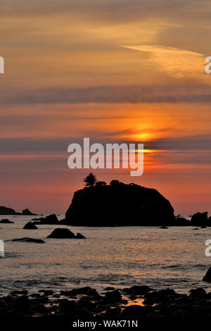 Sonnenuntergang und das Meer Stapel entlang der nördlichen Kalifornischen Küste, Crescent City Stockfoto