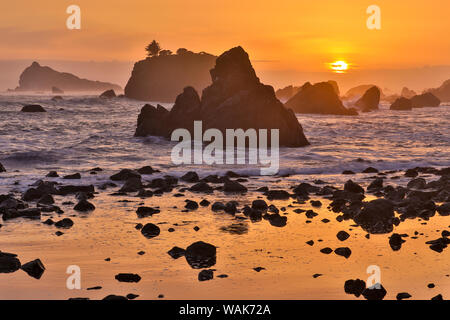 Sonnenuntergang und das Meer Stapel entlang der nördlichen Kalifornischen Küste, Crescent City Stockfoto