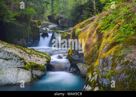 USA, Staat Washington, Mount Rainier National Park. Mountain Stream schnitzt durch bemoosten Felsbrocken. Stockfoto