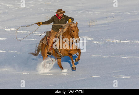 Reiten und Fahren im Winter auf Versteck Ranch, Shell, Wyoming. Cowboy Reiten seines Pferdes. (MR) Stockfoto