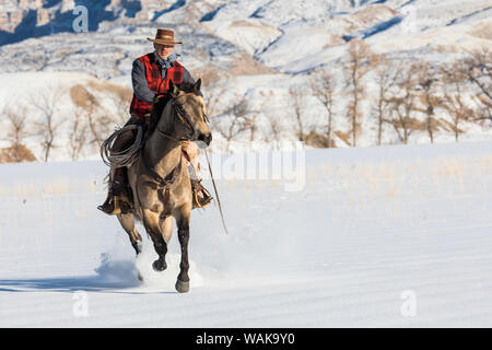 Reiten und Fahren im Winter auf Versteck Ranch, Shell, Wyoming. Cowboy Reiten seines Pferdes. (MR) Stockfoto