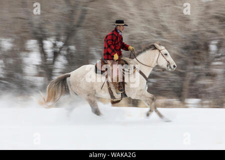 Reiten und Fahren im Winter auf Versteck Ranch, Shell, Wyoming. Cowboy Reiten seines Pferdes. (MR) Stockfoto