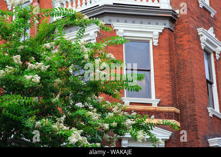 USA, Georgien, die Savanne. Architektonisches Detail auf dem historischen Kehoe House. Stockfoto