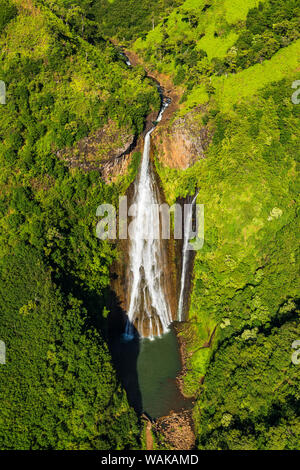Manawaiopuna fällt (Antenne) auch als Jurassic Park fällt, Hanapepe Valley, Kauai, Hawaii, USA bekannt. Stockfoto