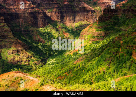 Waimea Canyon, Waimea Canyon State Park, Kauai, Hawaii, USA. Stockfoto