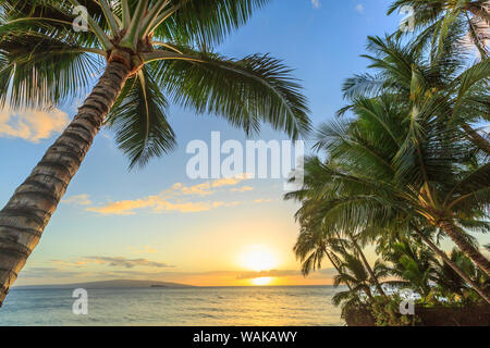 Sonnenuntergang am Strand in der Nähe des Wailea, Maui, Hawaii, USA Stockfoto