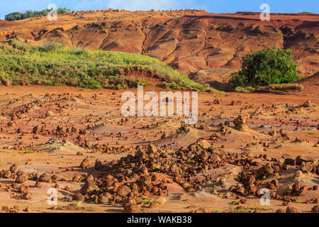 Kaehiakawaelo (Garten der Götter), eine Marslandschaft von Red Schmutz, lila Lava und Felsformationen von Alter von Erosion erstellt. Lanai Insel, Hawaii, USA Stockfoto