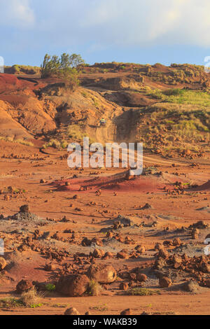 Kaehiakawaelo (Garten der Götter), eine Marslandschaft von Red Schmutz, lila Lava und Felsformationen von Alter von Erosion erstellt. Lanai Insel, Hawaii, USA Stockfoto