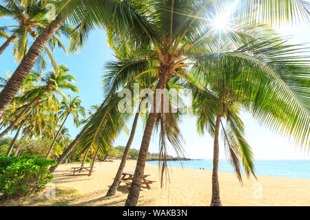 Hulopo'e Beach Park, Lanai Insel, Hawaii, USA Stockfoto