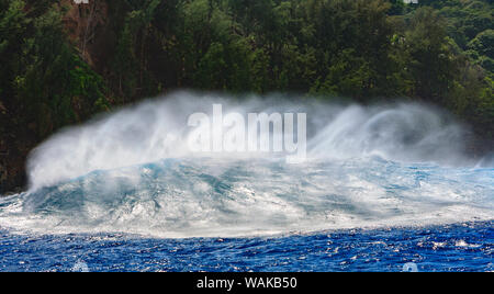 Riesige Welle bricht in der Nähe von 'Jaws' North Shore von Maui, Hawaii, USA Stockfoto