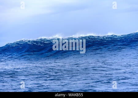 Riesige Welle bricht in der Nähe von 'Jaws' North Shore von Maui, Hawaii, USA Stockfoto