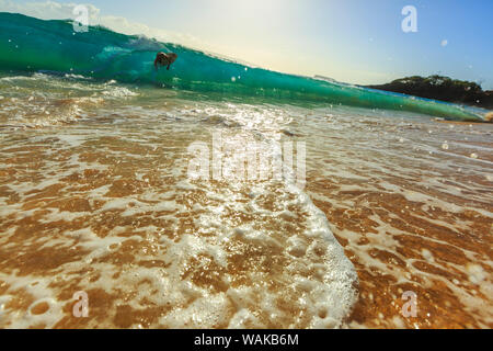 Big Beach Park, Makena, Maui, Hawaii, USA (Redaktionelle nur verwenden) Stockfoto