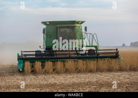 John Deere Mähdrescher für die Soja-ernte verwendet. Marion County, Illinois. Stockfoto