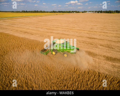 John Deere Mähdrescher für die Soja-ernte verwendet. Marion County, Illinois. Stockfoto