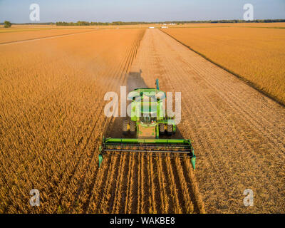 John Deere Mähdrescher für die Soja-ernte verwendet. Marion County, Illinois. Stockfoto