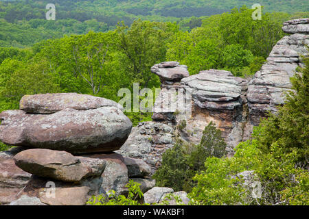 Camel Rock, der Garten der Götter Erholungsgebiet, Shawnee National Forest, Saline County, Illinois Stockfoto