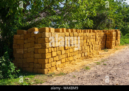 Stapel gelber Block coquina für Bau close-up Stockfoto