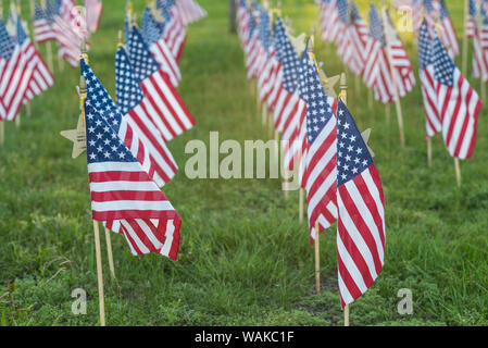 USA, Massachusetts, Cape Ann, Gloucester. US Flags Stockfoto