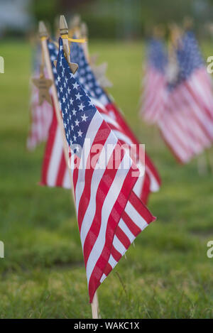 USA, Massachusetts, Cape Ann, Gloucester. US Flags Stockfoto