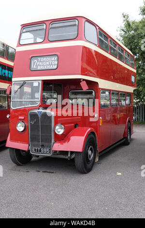 1953 Devon Allgemeine betrieben AEC Licht sechs Saunders-Roe body Double Decker Bus. Stockfoto